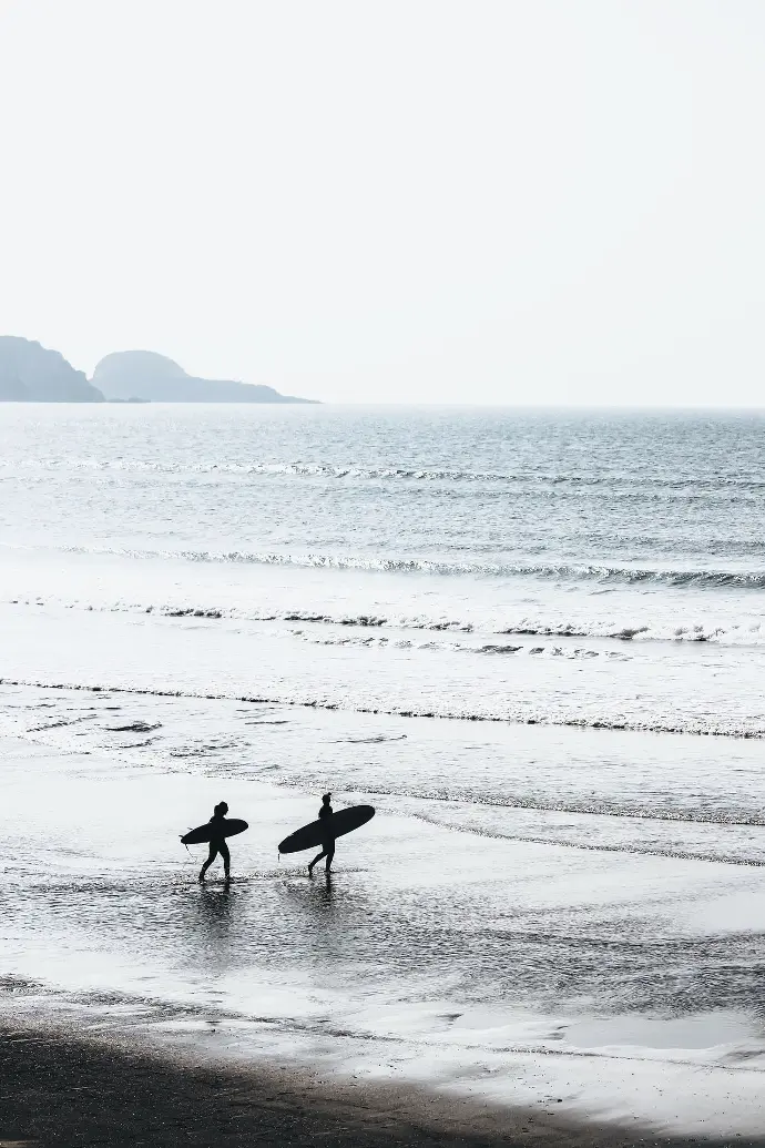two people carrying surfboards at beach during daytime